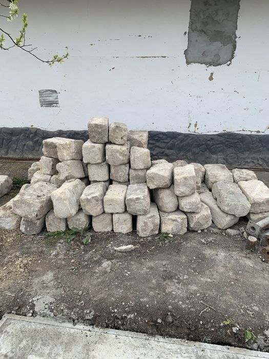Продам ракуш | Самовивіз