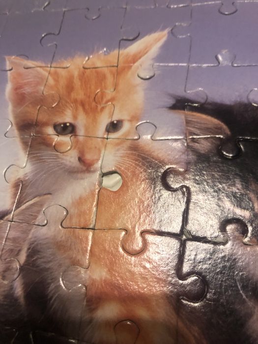 Puzzle de gatos.