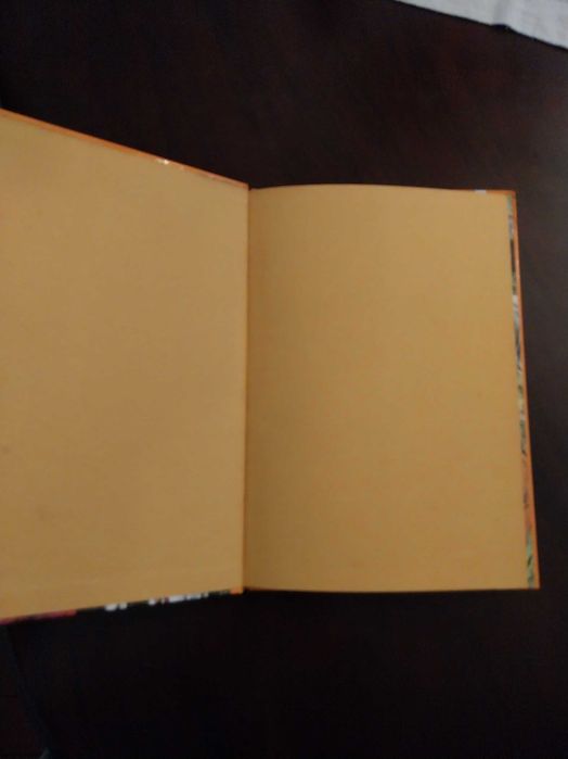 Nun’Álvares Pereira, História Júnior, livro Edições Asa