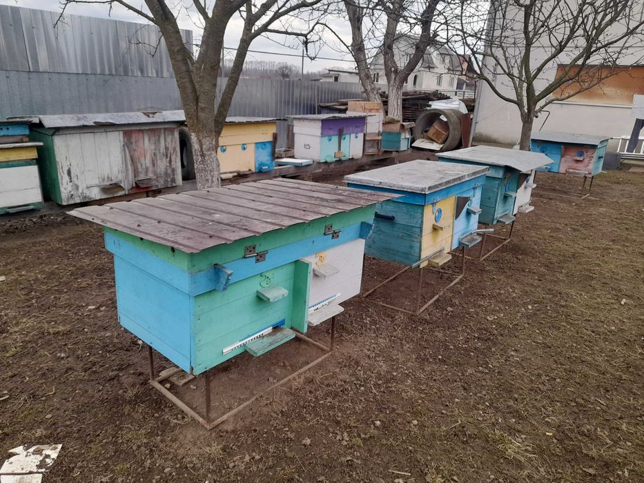 Вулики лежаки на 24 рамки.