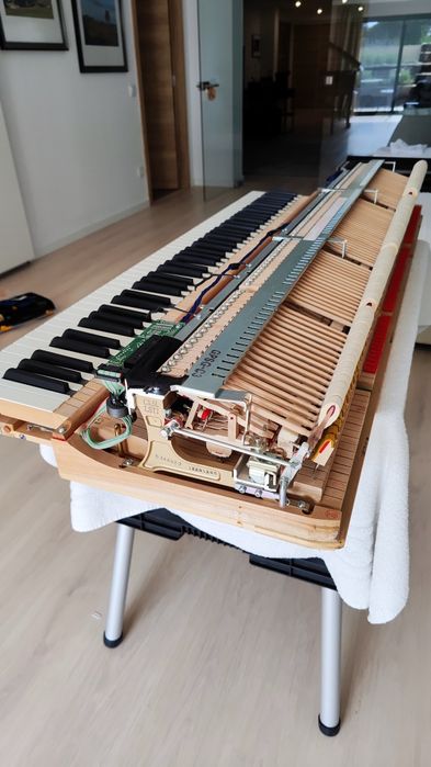 Fernando Leão Afinador de Pianos do Sul / Piano tuner in the Algarve