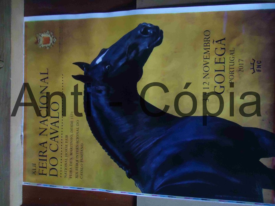 Cartazes de S. Martinho 30 x 45 aprox.