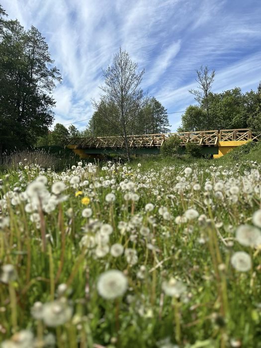 Dom na wynajem, dom na wyłączność, jacuzzi, Puszcza, Królowy Most.