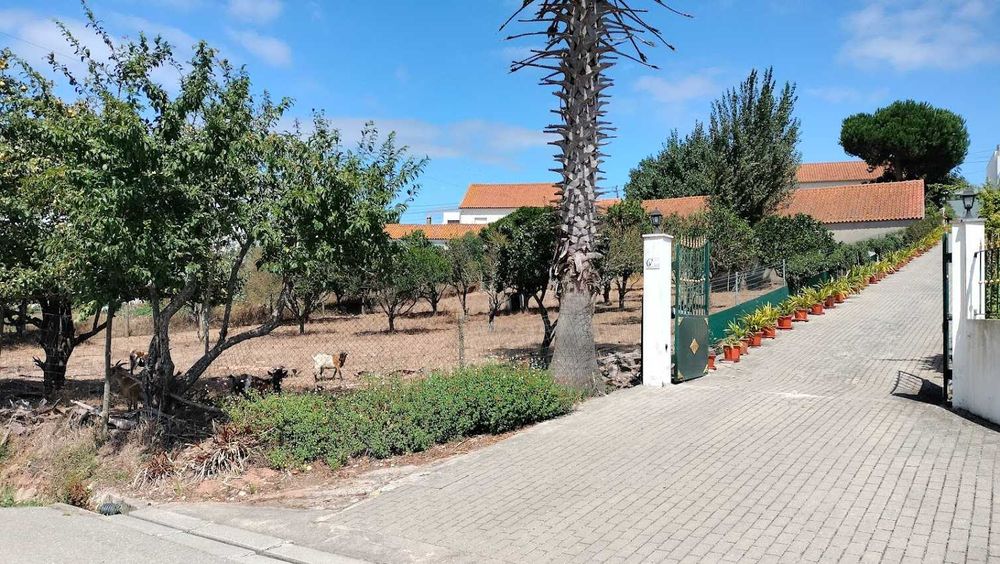 Moradia em Madeira T3  com terreno espaçoso  em Caldas da Rainha