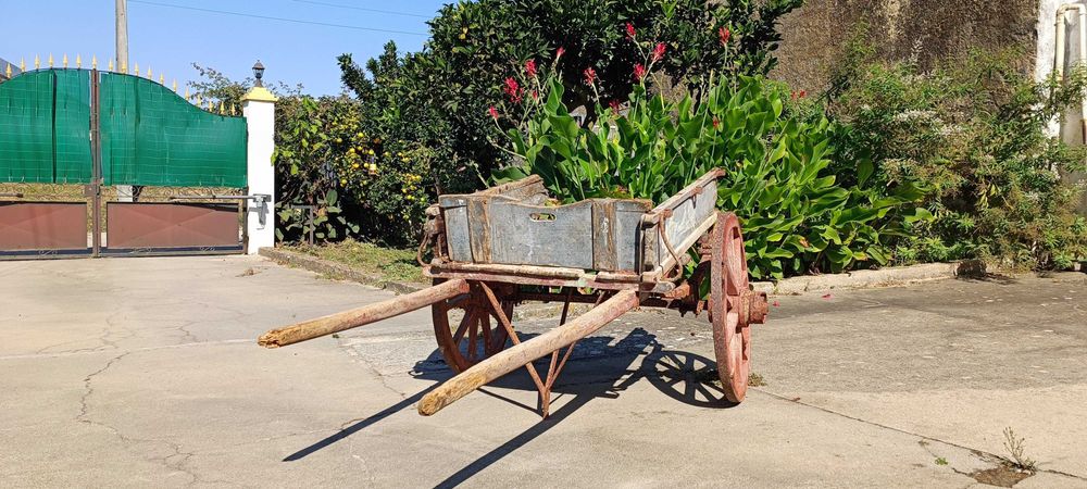 Carroça antiga para burros e quem quisesse puxar (gata não incluida)