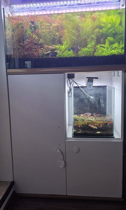 Sprzedam akwarium 80x35x40 z szafką i  całym osprzętem