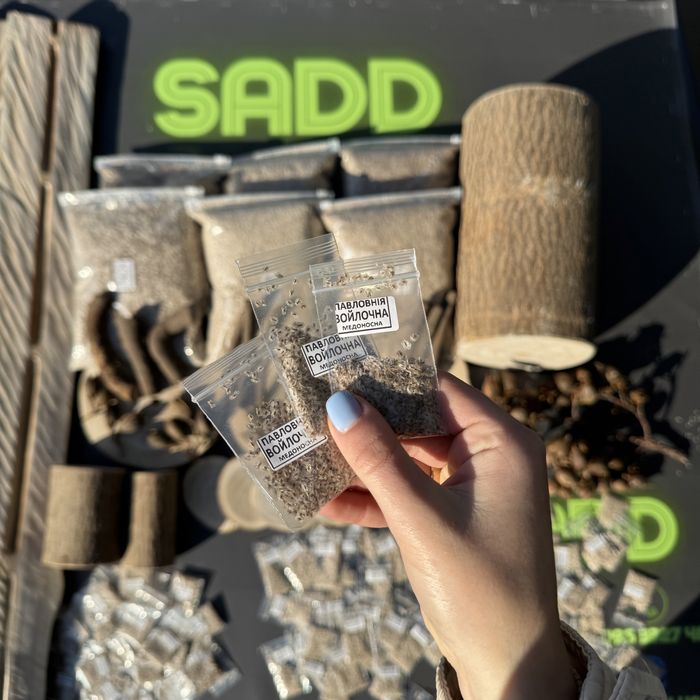 Павловния Войлочна уп 500шт розпродаж Насіння, Семена Павловнии