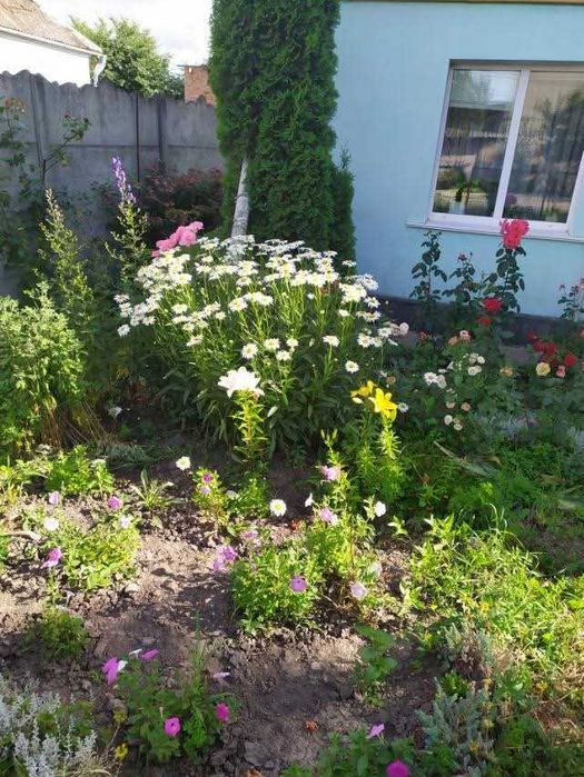 Продам 3к квартиру у м. Жмеринка 3901