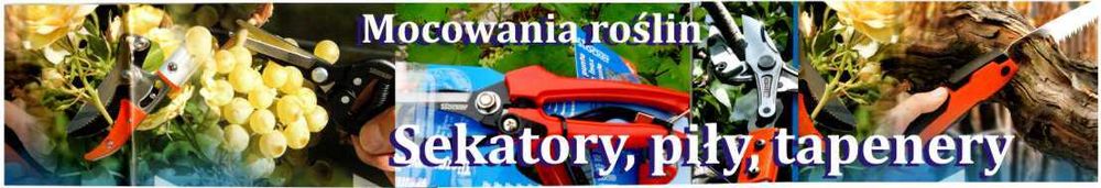 sekator winnica profi 21