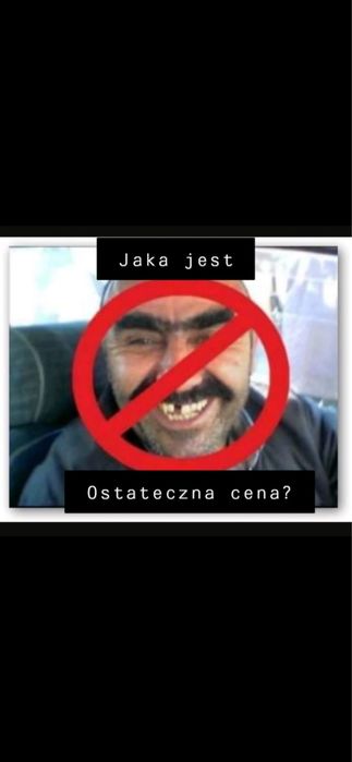 Kosiarka bijakowa mulcher 240