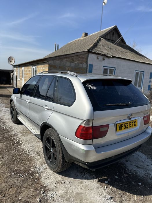 Х5 продається бойовий кінь