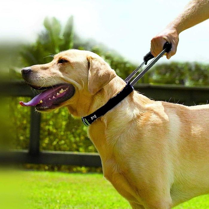 Dog Control obroża ze zintegrowaną krótką linką - rozmiar S