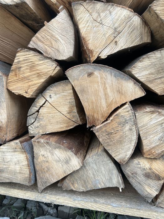 Buk wraz z transportek