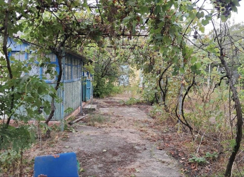 Дача в Затоке земля приват