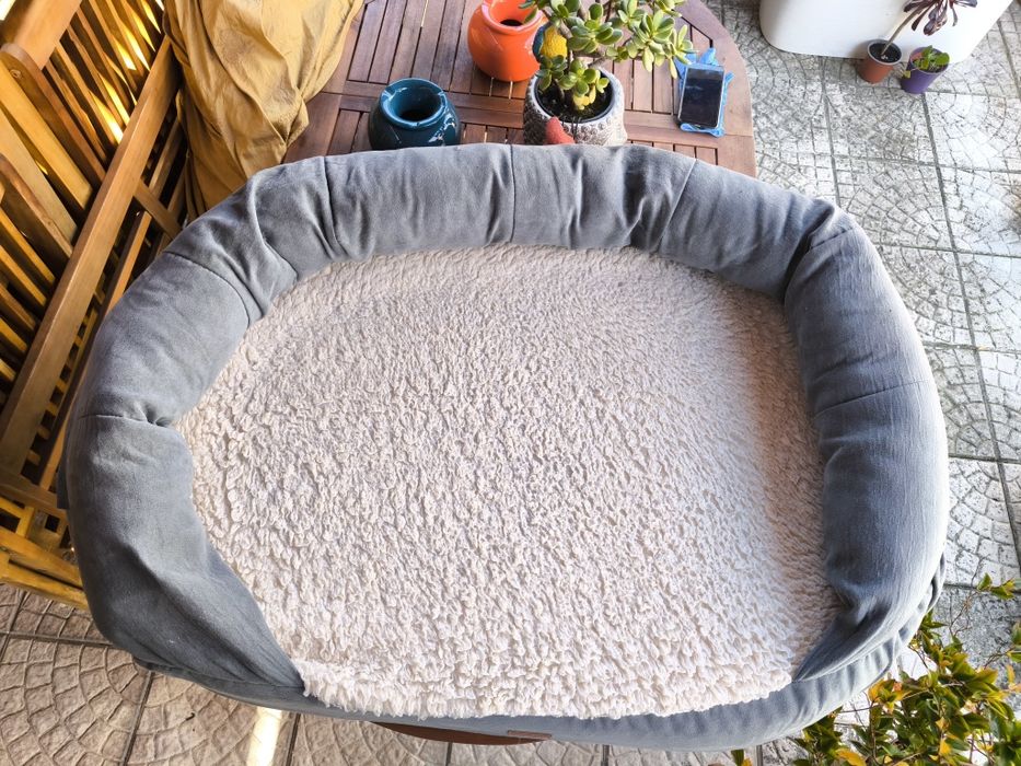 Cama cão ortopédica
