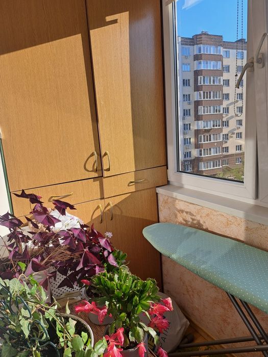 3х квартира  Народицька