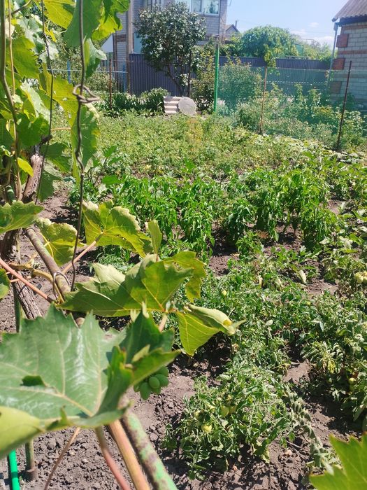 Продам дачу СТ Джерело
