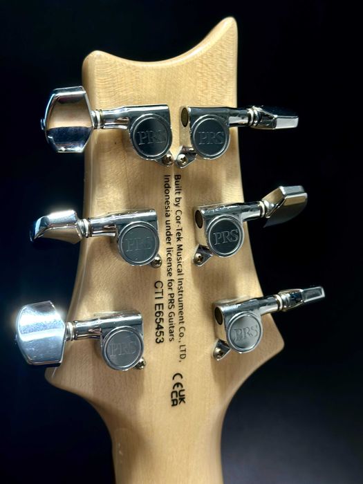 PRS SE Custom 24-08 | Eriza Verde, 8 brzmień, coil-split