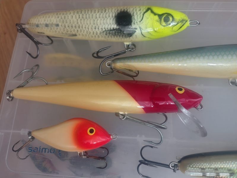Salmo Whitefish Sweeper Slider