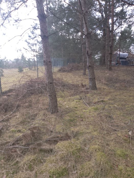 Działka koło rzeki Wda