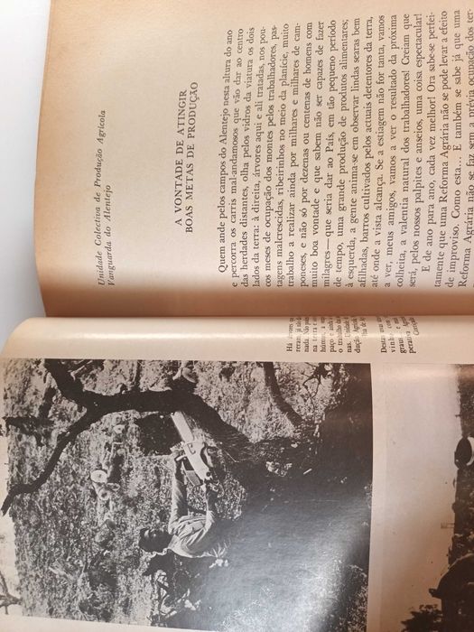 "Terras Velhas Semeadas de Novo" por Antunes da Silva