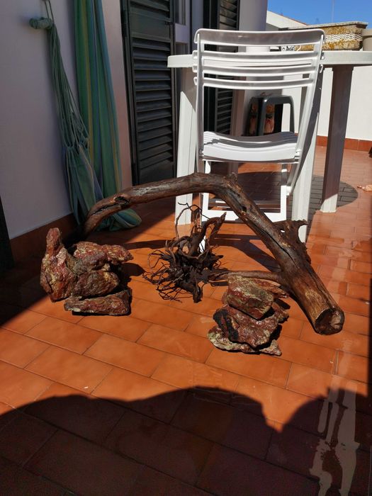 Layout aquário raiz/pedras