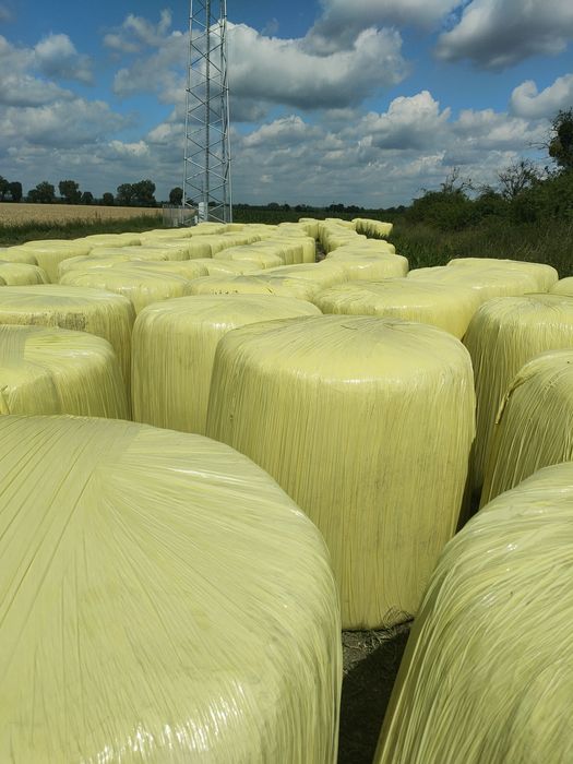 Sianokiszonka pierwszy pokos