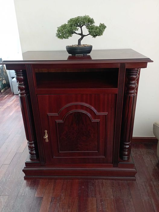 Bar antigo em madeira maciça