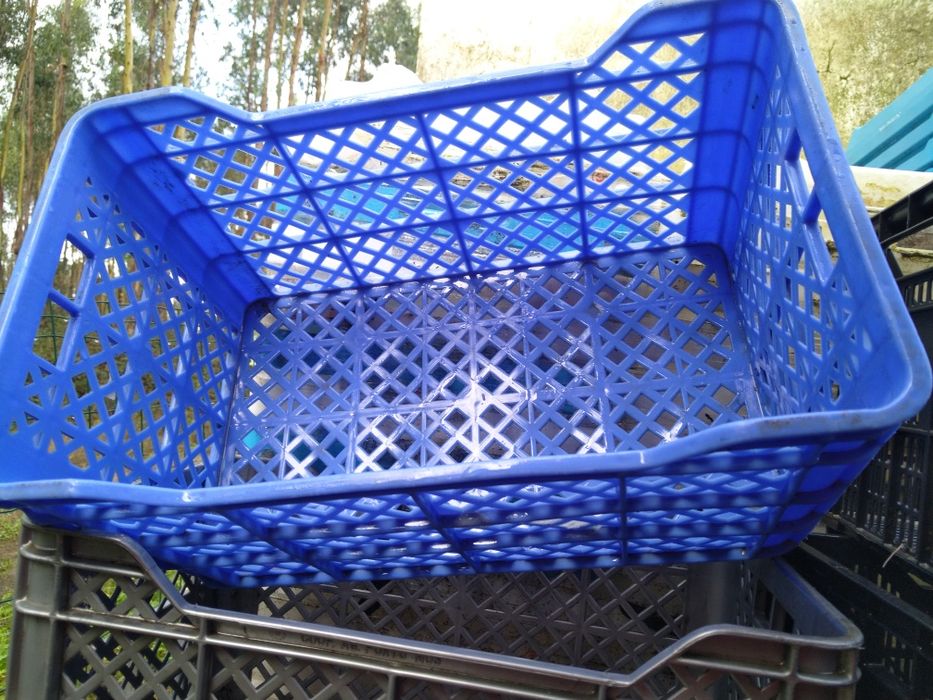 Caixas de plástico fortes