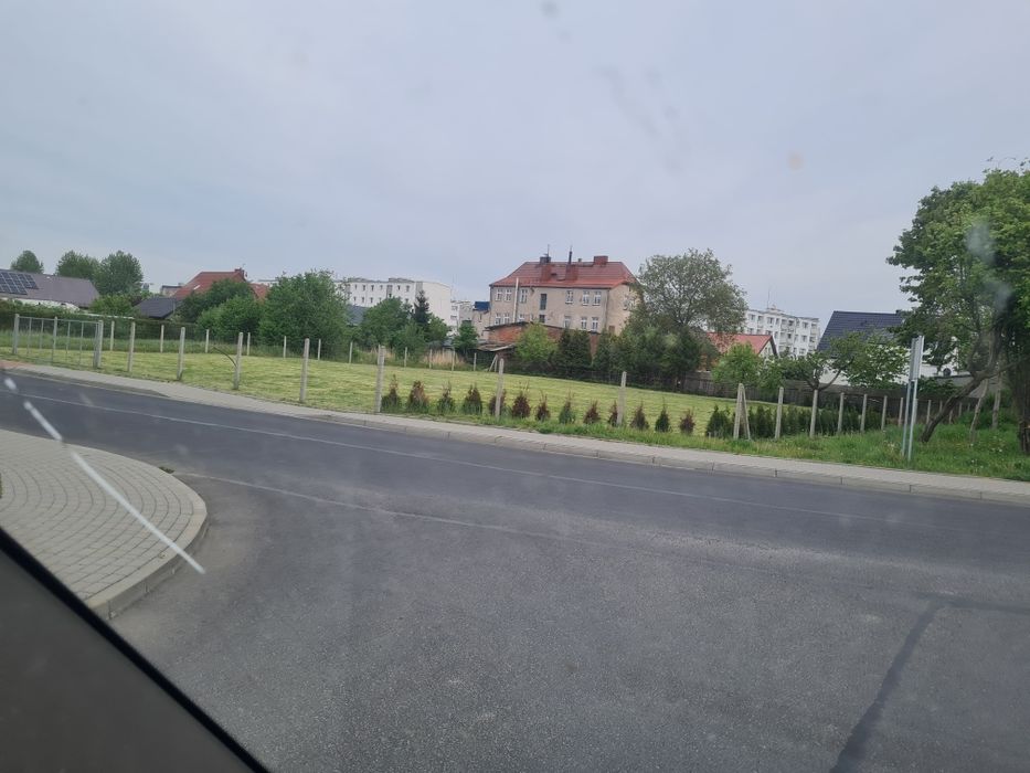 Zdjęcie 5