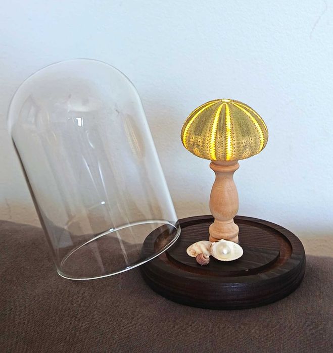 Candeeiro em forma de concha