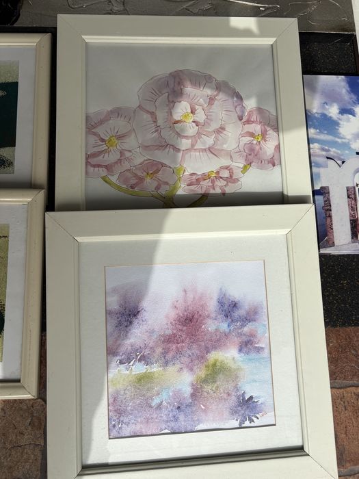 Quadros decorativos diversos