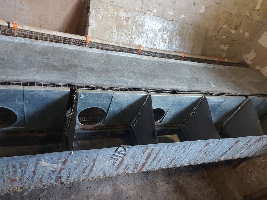 Маточні клітки кролячі