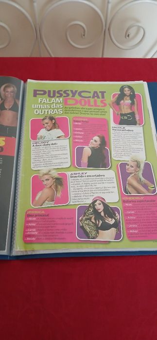 Dossier Pussycat Dolls, novo