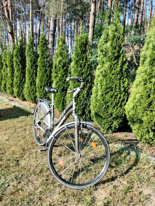 Rower Code calatic 76