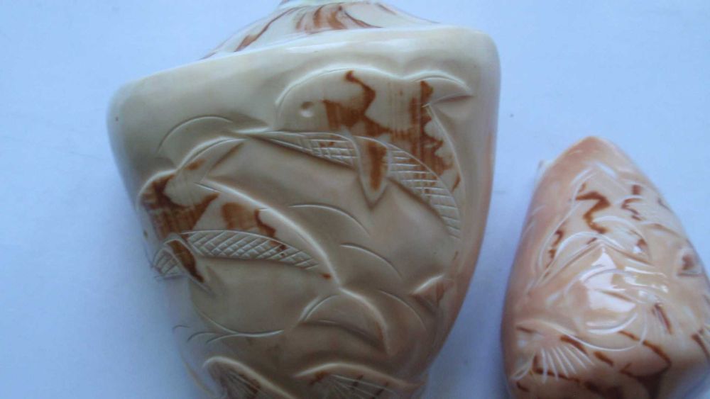 Ракушки с дельфинами