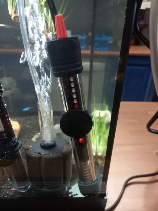Aquecedor para Aquario como Novo