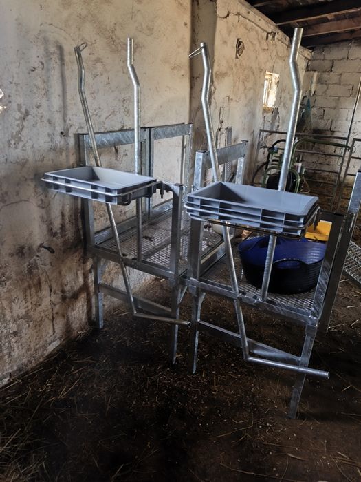 Podest do dojenia koz