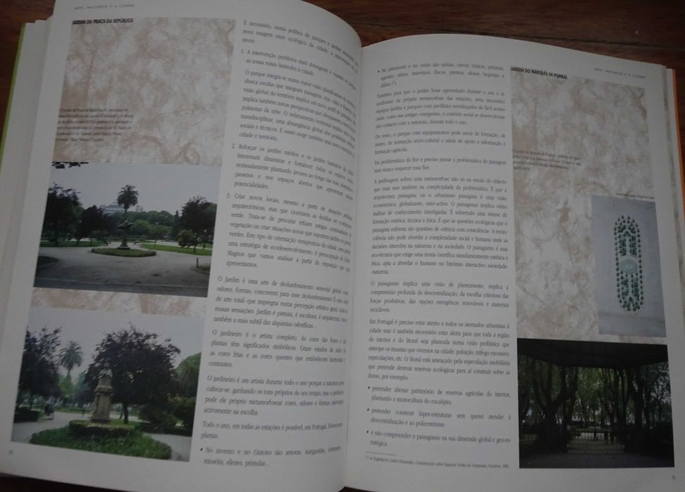 Arte Natureza e A Cidade