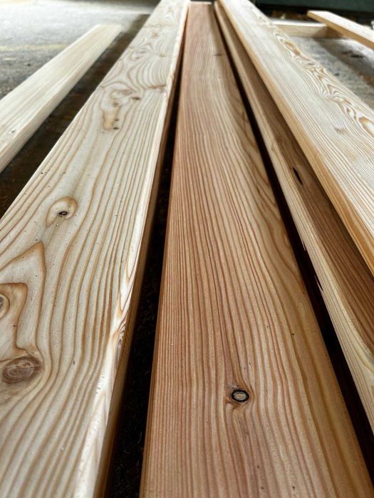 Deska tarasowa Modrzew Europejski