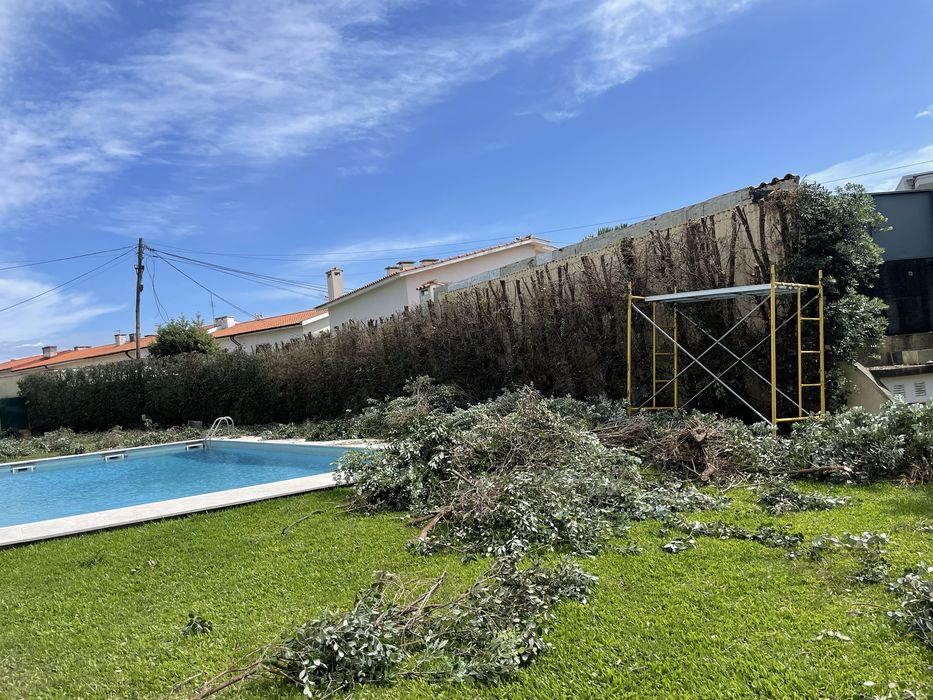 Jardinagem/ limpeza de terrenos/ Abates / limpezas de condominios