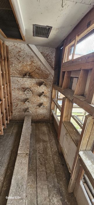 Gołębnik 1,5x2,5x2m