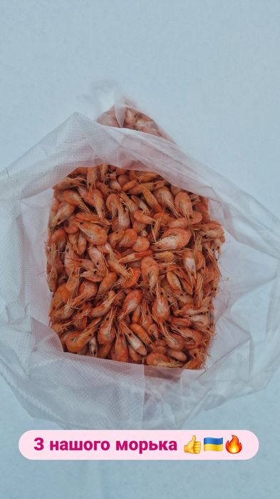 Раки живі раки приготовані раки на розплід