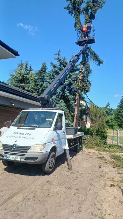 Podnośnik koszowy, wycinka drzew