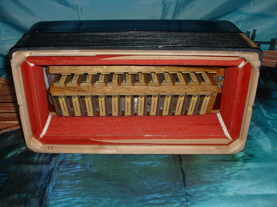 Acordeão Avenda G, .142