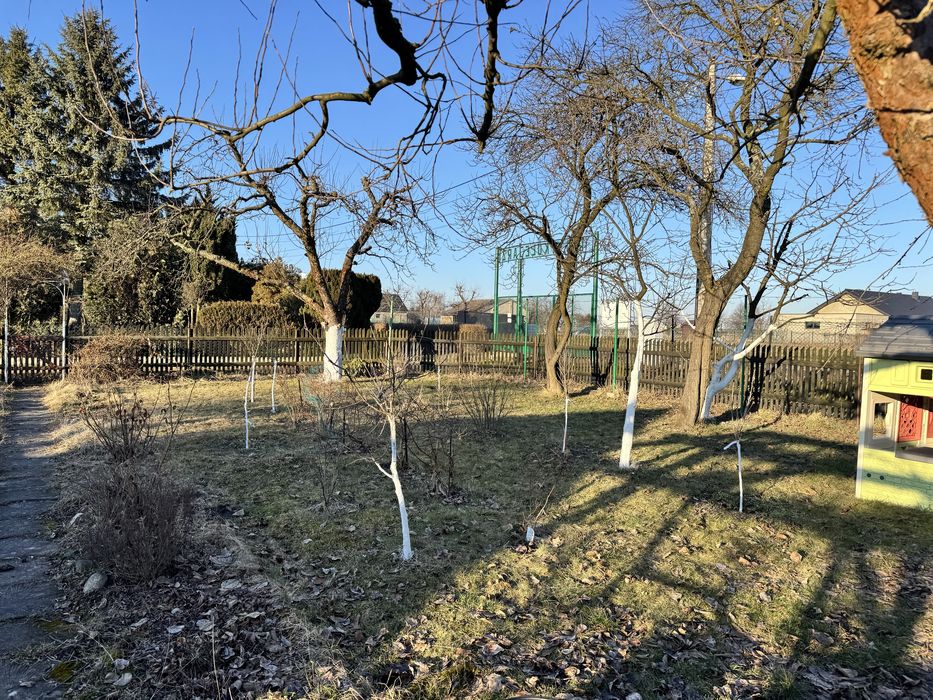 Ogrodek działkowy 400 m² - Widok 2