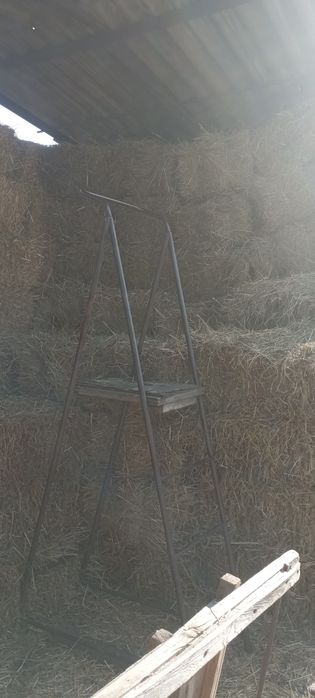 Луговое сено разнотравье 2025 г