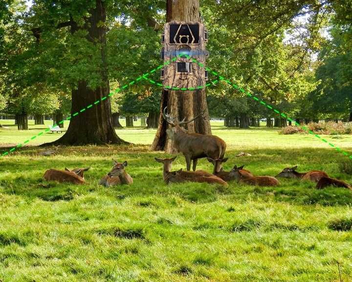 8K 60MP Fotopułapka kamera myśliwska wodoodporna podświetlenie nocne