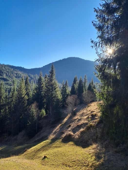 Синевир Карпати відпочинок в Синевирській косиці