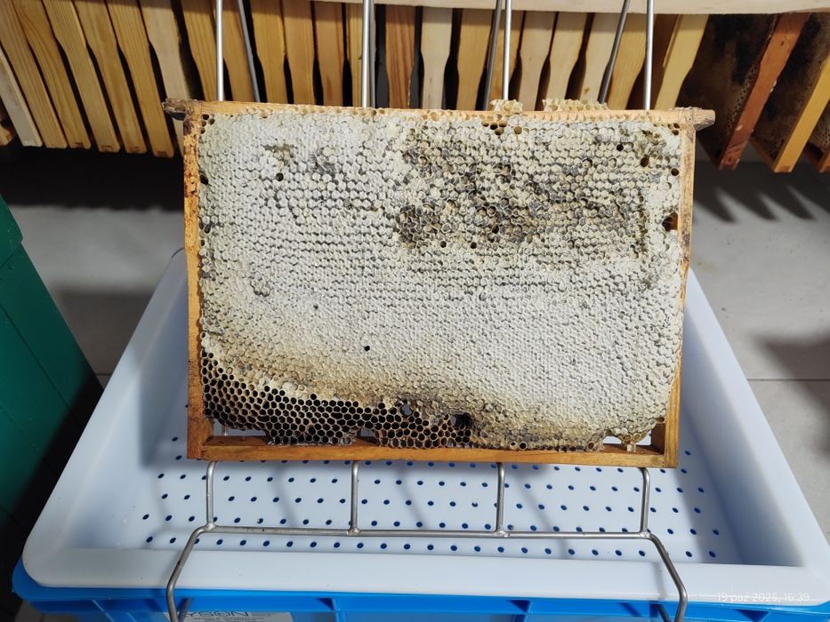 Ramki wielkopolskie z pokarmem zimowym pokarm zimowy